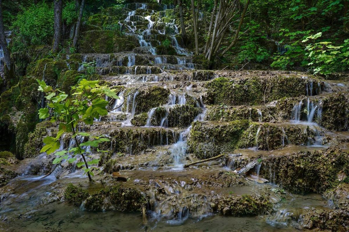 Garni Hotel Mali Predah - Novi Deo Knjazevac Buitenkant foto